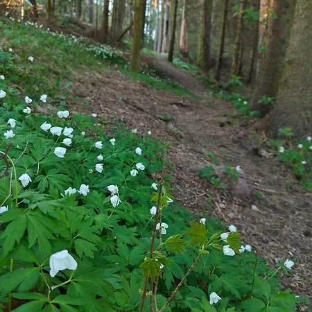 Vandrarhem Gästhem Gård *
